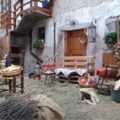 Immagine decorativa per il contenuto Film dell'APSP di Spiazzo (TN) - concorso UPIPA 2021